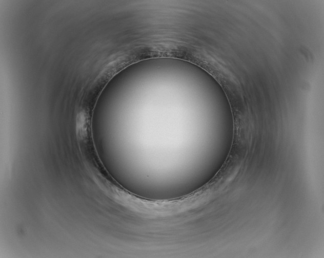 X0000113150038200909041243