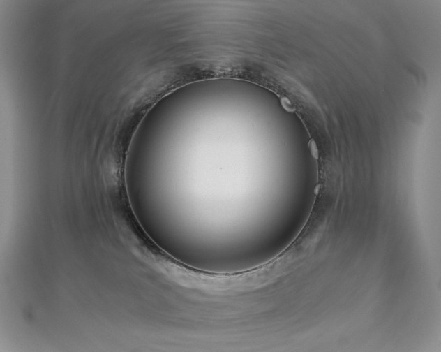 X0000113150039200909041243