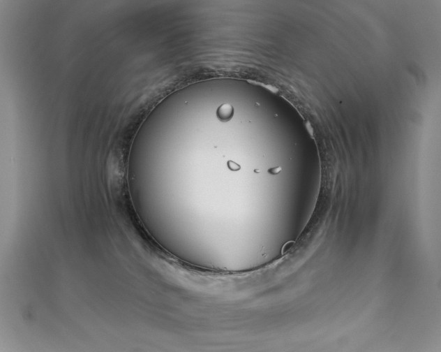 X0000113150040200909041243