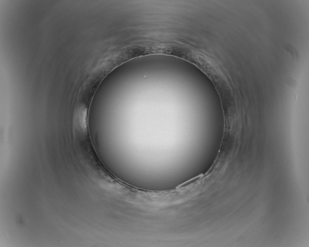 X0000113150041200909041243