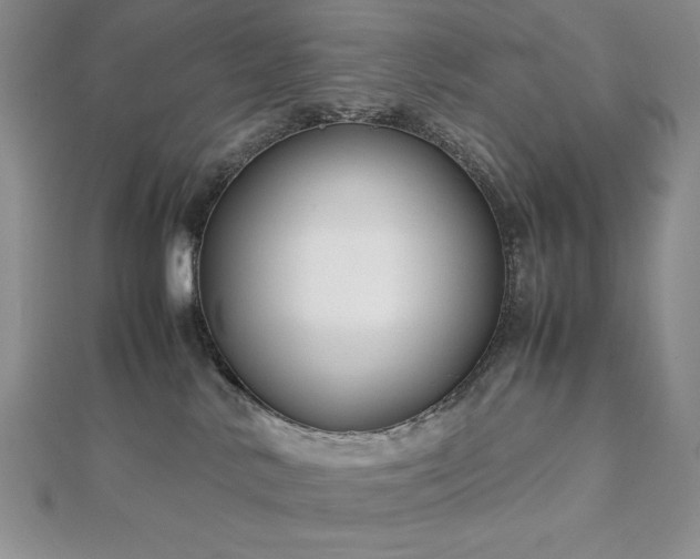 X0000113150042200909041243