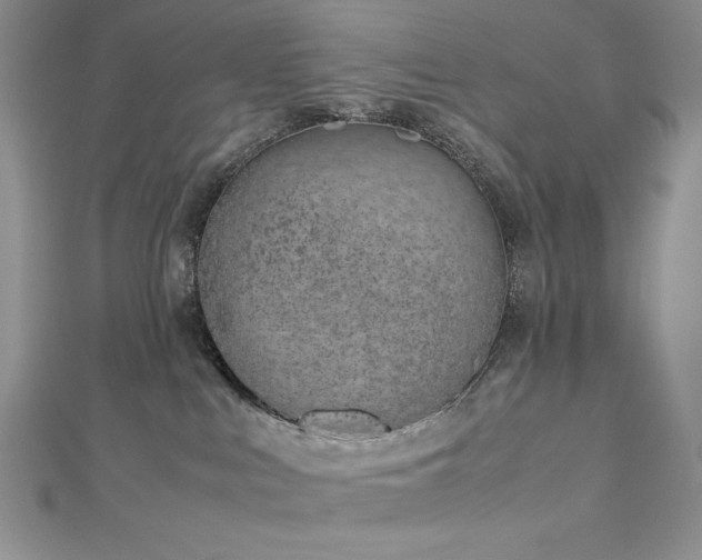 X0000113150043200909041243