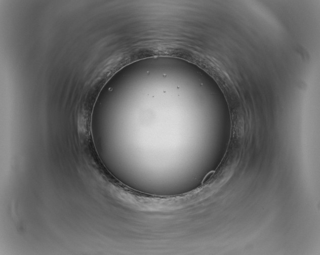 X0000113150044200909041243