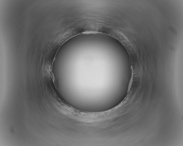 X0000113150045200909041243