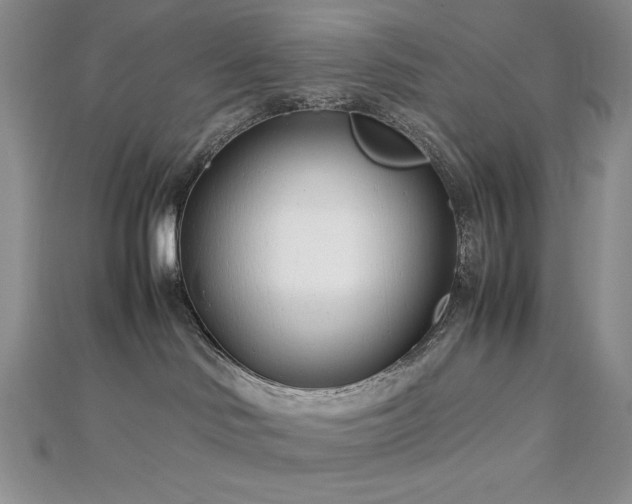 X0000113150046200909041243