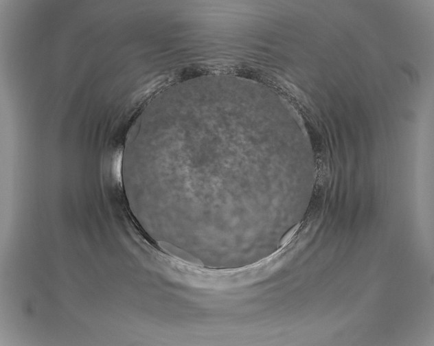 X0000113150047200909041243