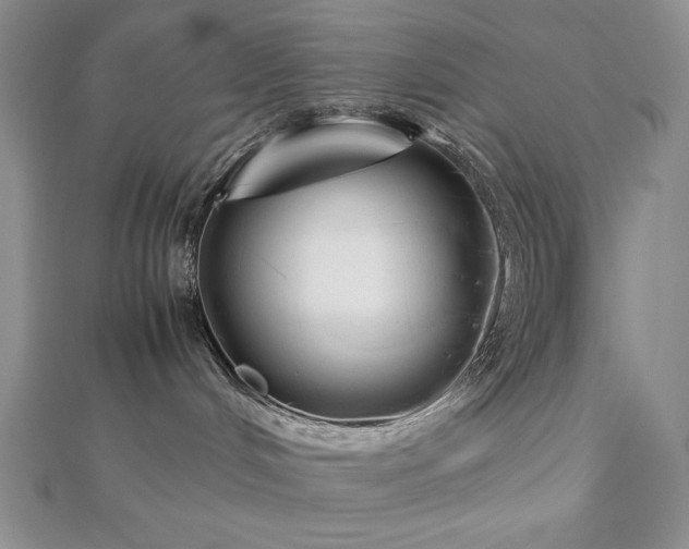 X0000113150048200909041243