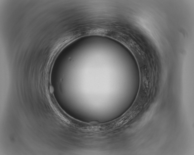 X0000113150049200909041242