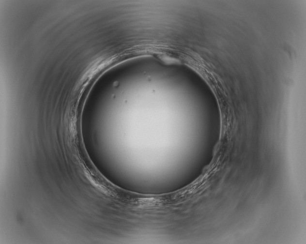 X0000113150050200909041242