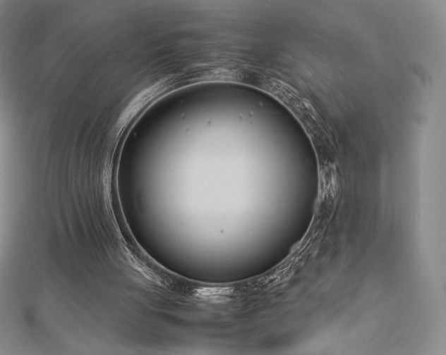 X0000113150051200909041242