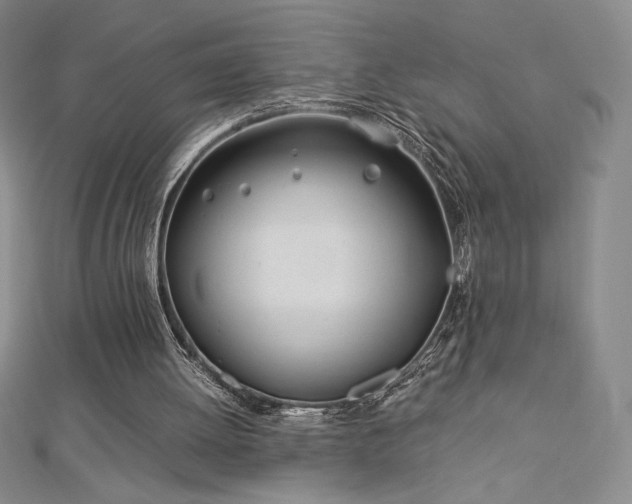 X0000113150052200909041242