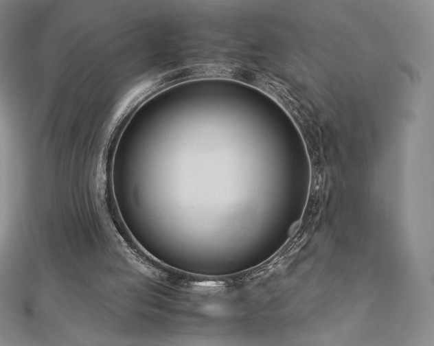 X0000113150053200909041242