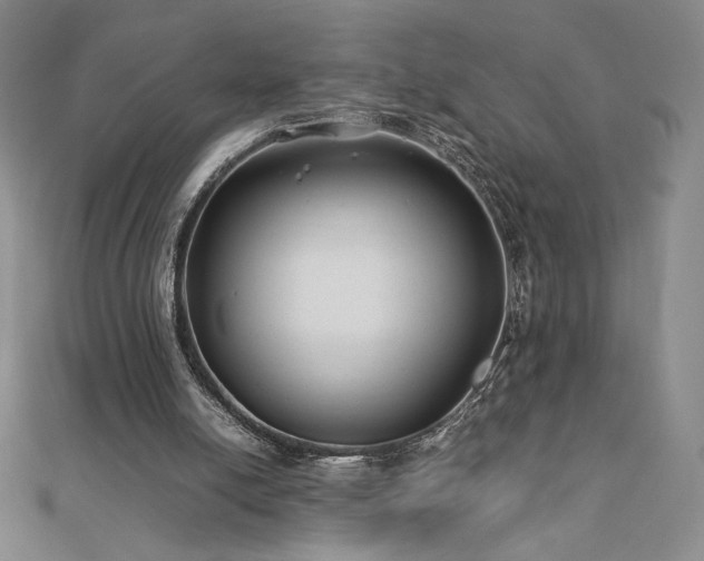 X0000113150054200909041242