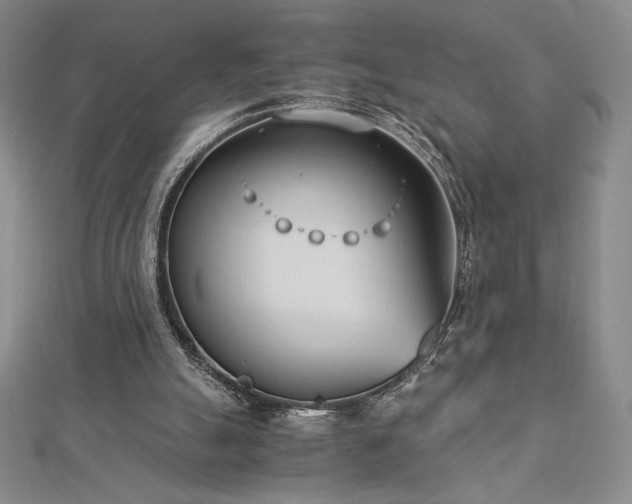 X0000113150055200909041242