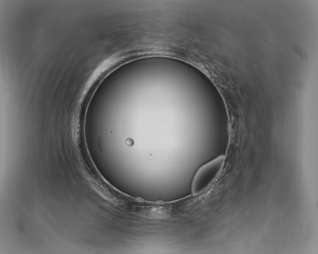 X0000113150056200909041242