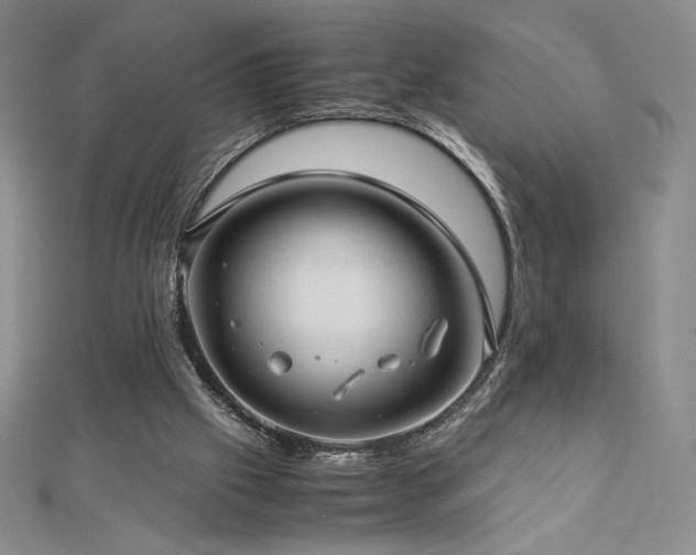 X0000113150057200909041242