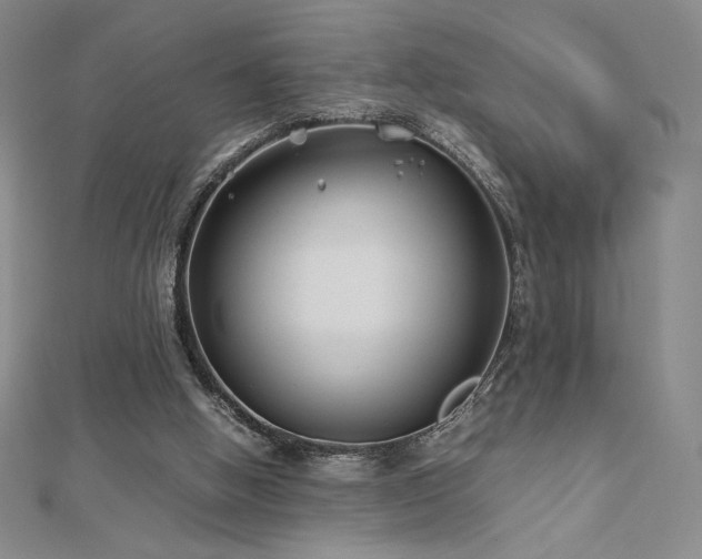 X0000113150058200909041242