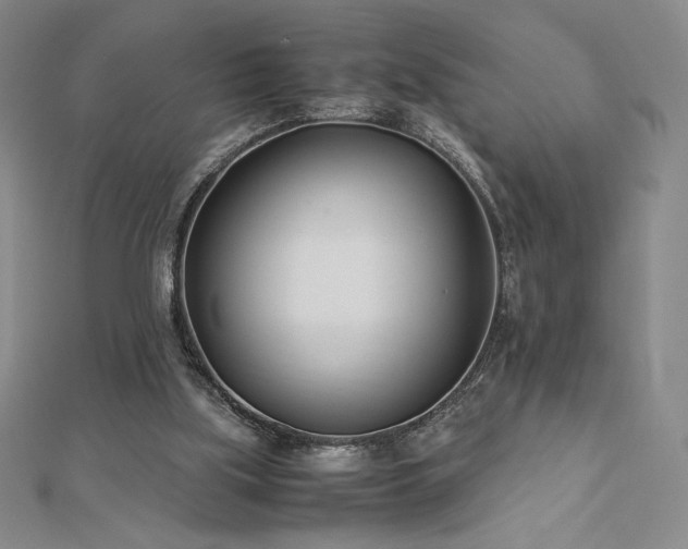 X0000113150059200909041242