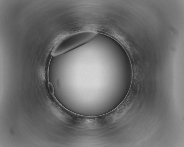 X0000113150060200909041242