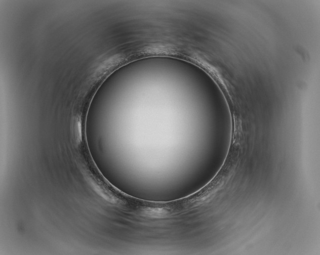 X0000113150061200909041242