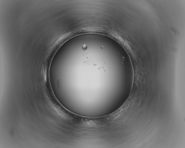 X0000113150062200909041242