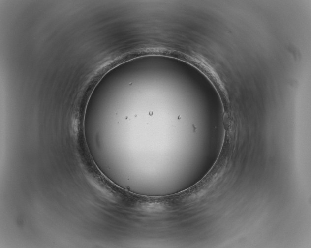 X0000113150063200909041242