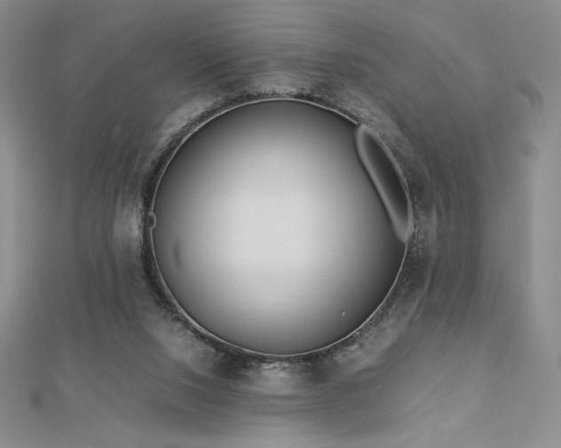 X0000113150064200909041242