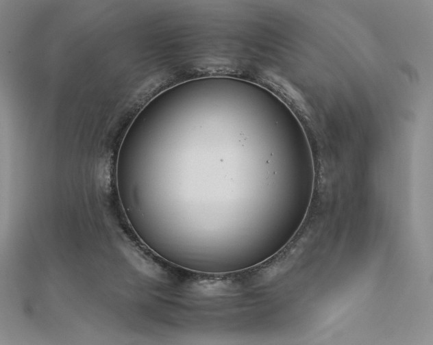 X0000113150065200909041242