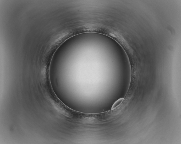 X0000113150066200909041242