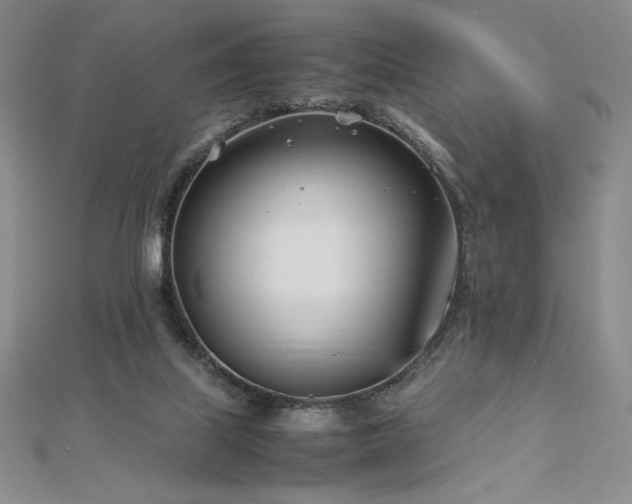 X0000113150067200909041242