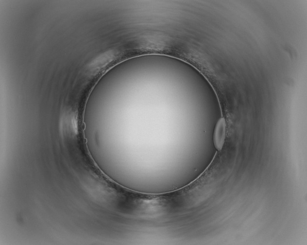 X0000113150068200909041242