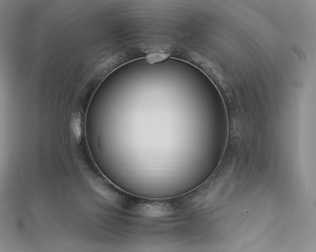 X0000113150069200909041242