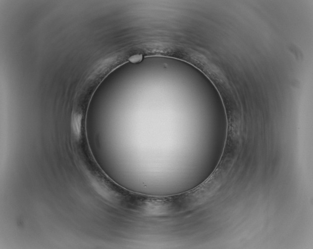 X0000113150070200909041242