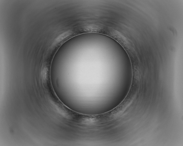 X0000113150071200909041242