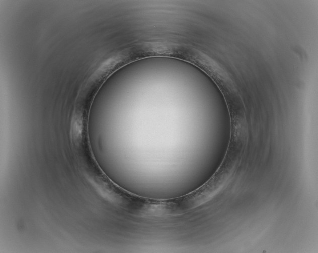 X0000113150072200909041242