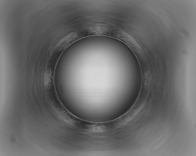 X0000113150073200909041242