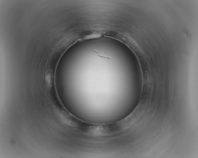 X0000113150074200909041243