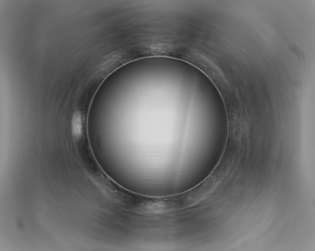 X0000113150075200909041243