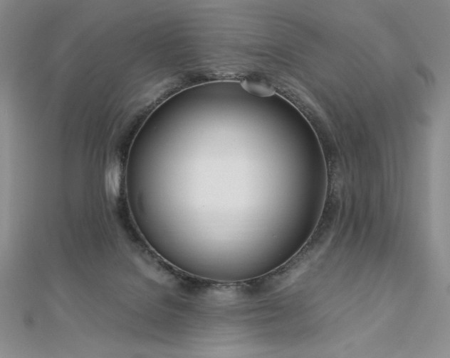 X0000113150076200909041243