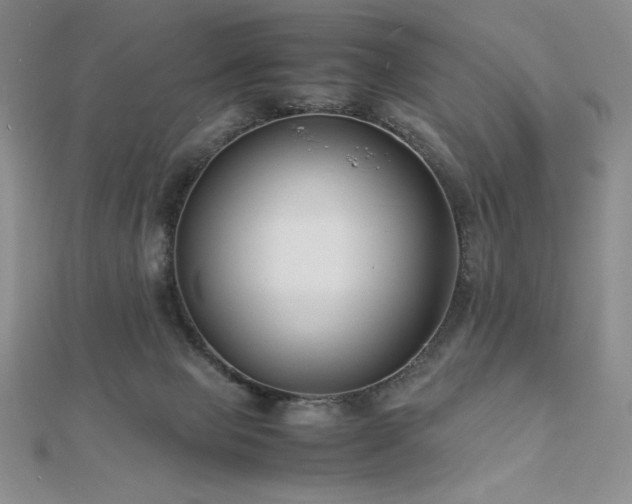 X0000113150077200909041243