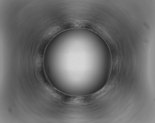 X0000113150078200909041243