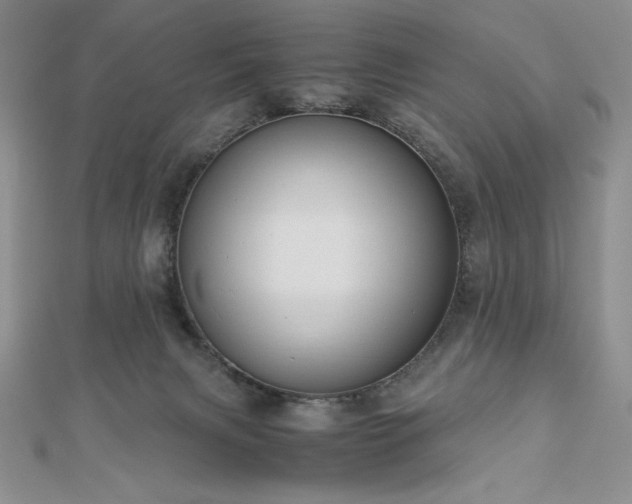 X0000113150079200909041243