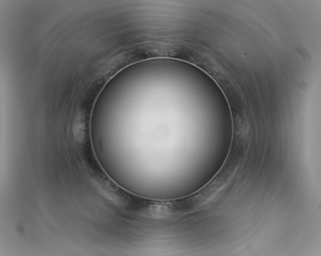 X0000113150080200909041243