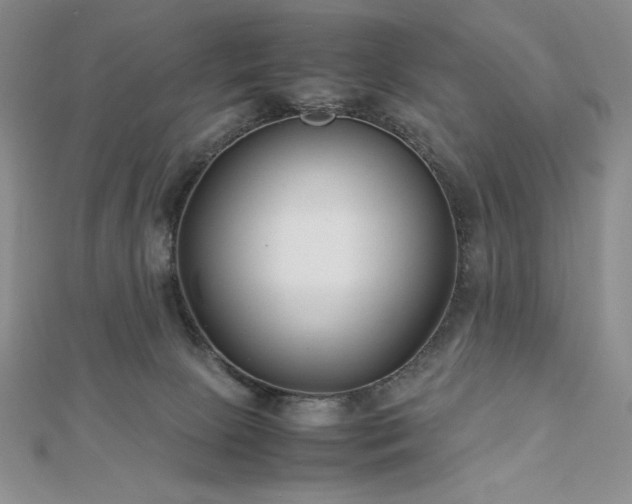 X0000113150081200909041243