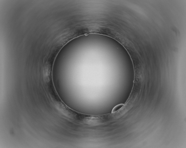 X0000113150082200909041243