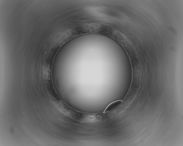 X0000113150083200909041243