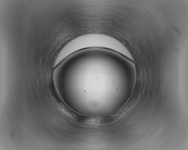 X0000113150084200909041243