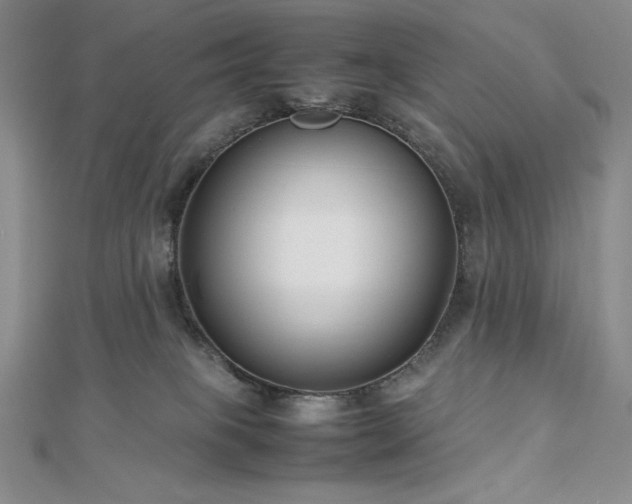 X0000113150085200909041243