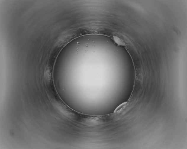 X0000113150086200909041243