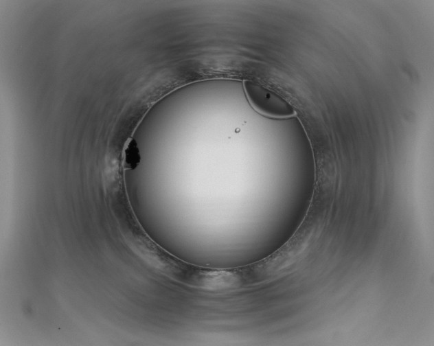 X0000113150087200909041243